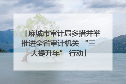 麻城市审计局多措并举推进全省审计机关 “三大提升年” 行动
